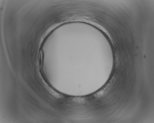 X0000072941525200608181328