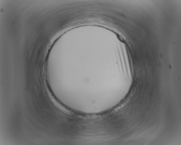 X0000072941526200608181328