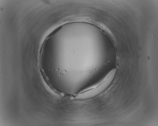 X0000072941528200608181328