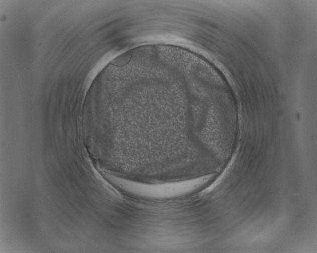 X0000072941529200608181328