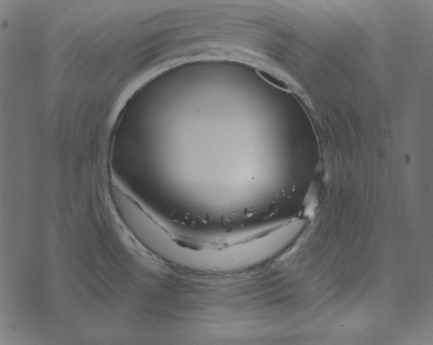 X0000072941530200608181328