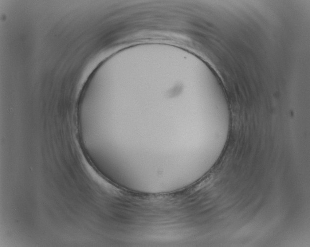 X0000072941531200608181328