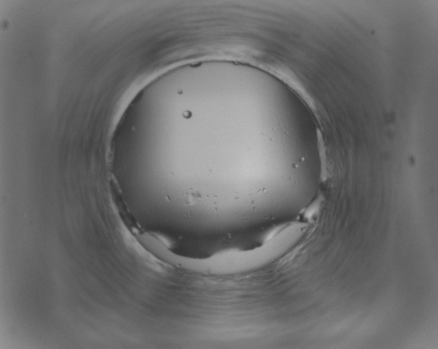 X0000072941532200608181328