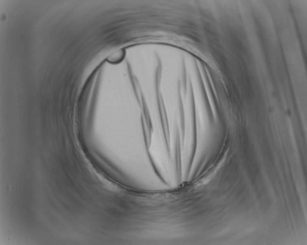 X0000072941533200608181328