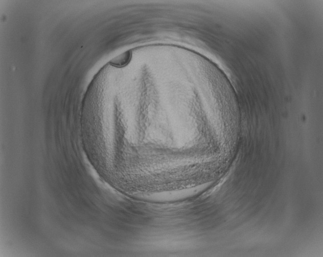 X0000072941534200608181328