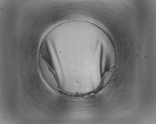 X0000072941536200608181328