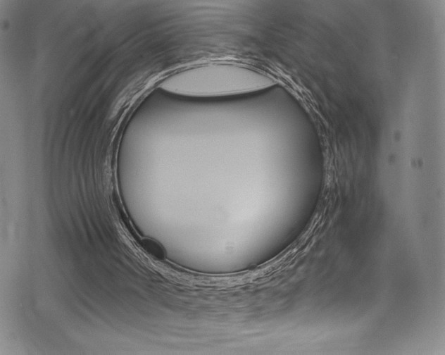 X0000072950002200607210944