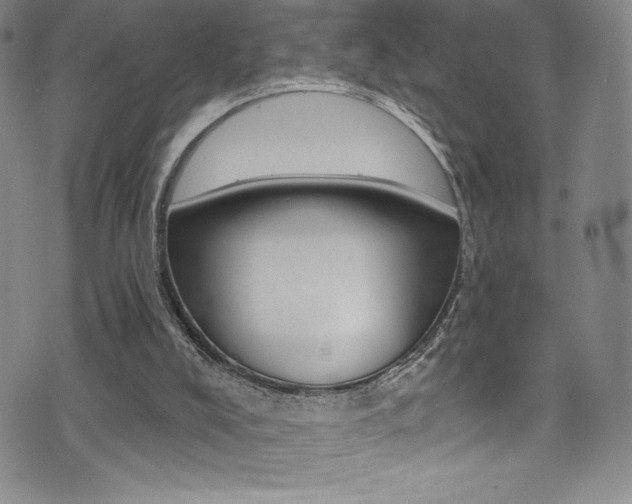 X0000072950008200607210944