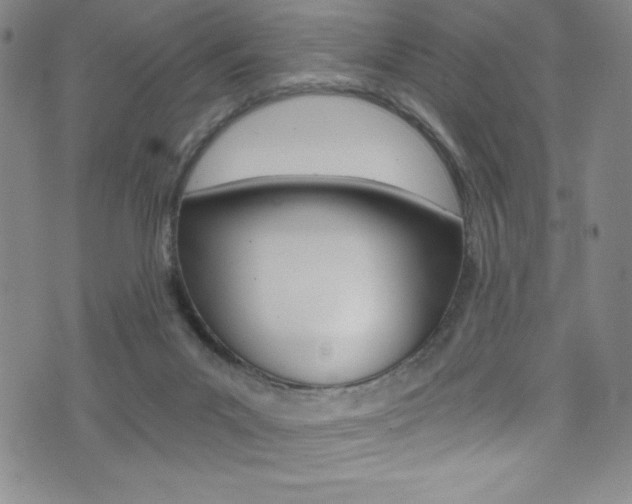 X0000072950023200607210943