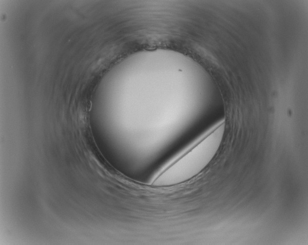 X0000072950039200607210943