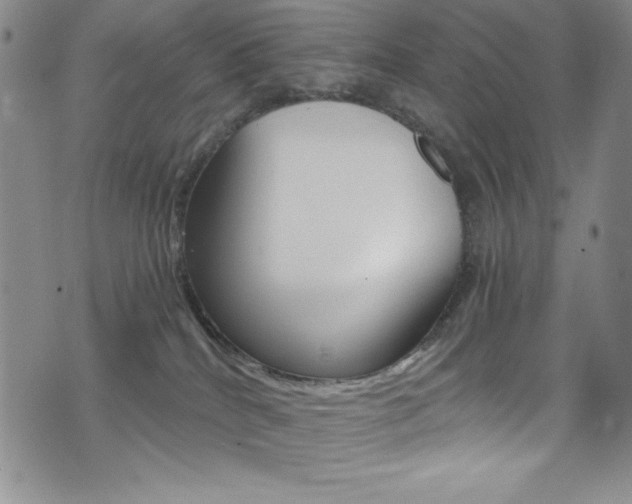 X0000072950040200607210943