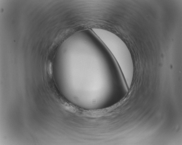 X0000072950041200607210943