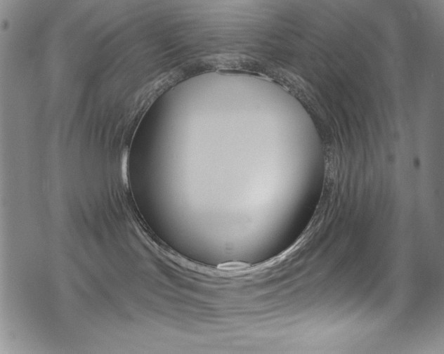 X0000072950047200607210943