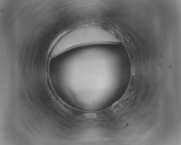 X0000072950052200607210942