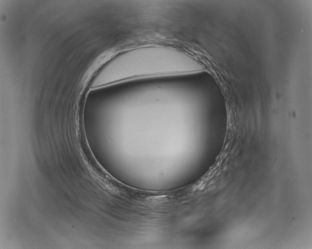 X0000072950054200607210942