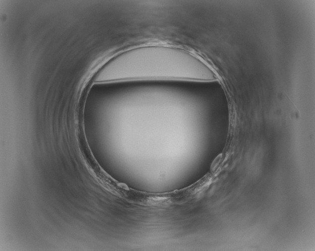 X0000072950055200607210942