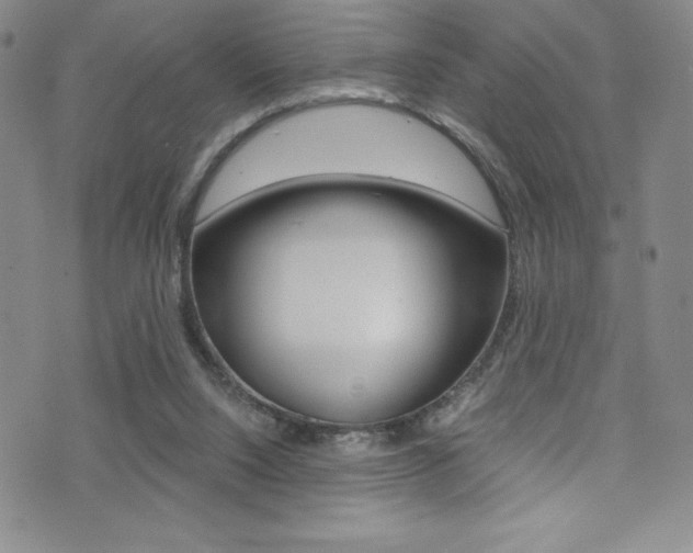 X0000072950064200607210942