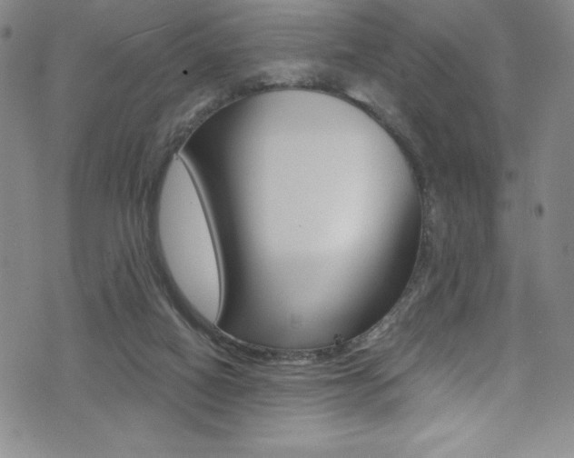 X0000072950066200607210942