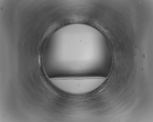 X0000072950067200607210942