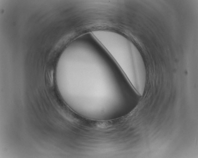 X0000072950070200607210942