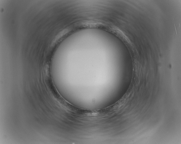 X0000072950071200607210942