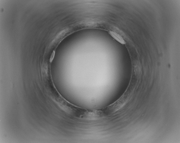 X0000072950072200607210942