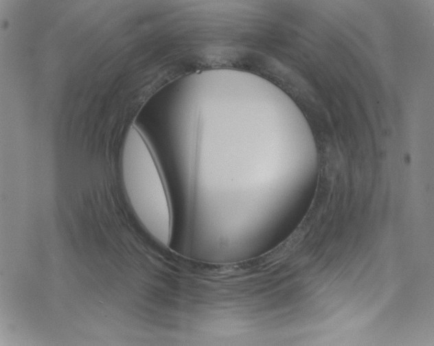 X0000072950075200607210942