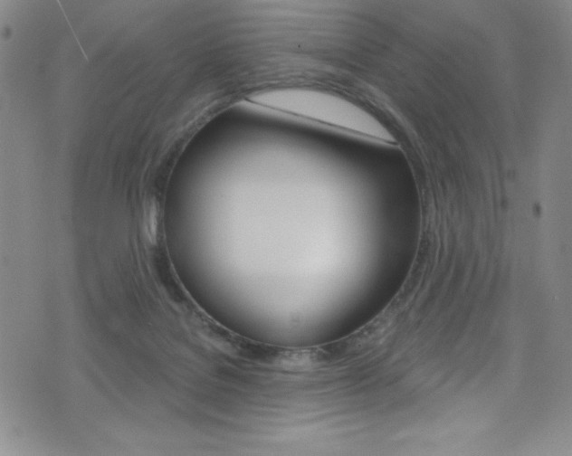 X0000072950076200607210942