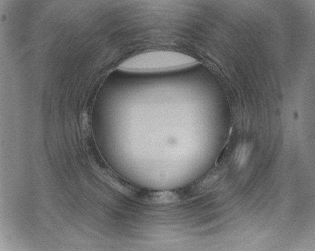 X0000072950087200607210943