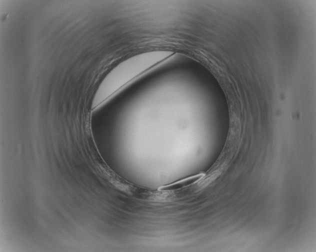 X0000072950096200607210943