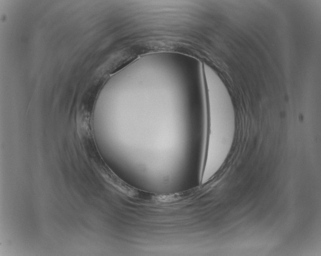 X0000072950141200607210941