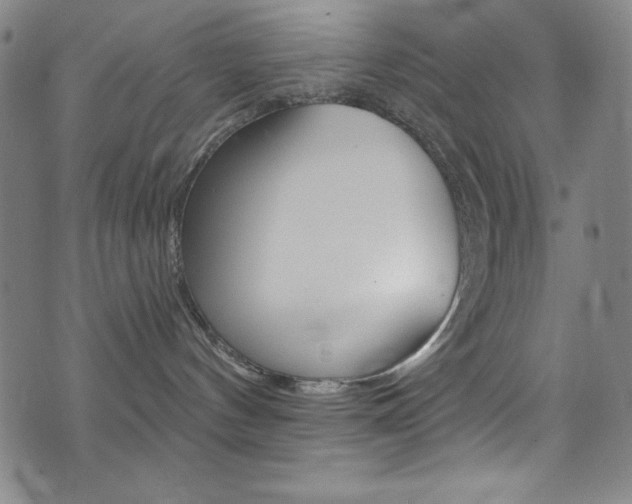 X0000072950144200607210941