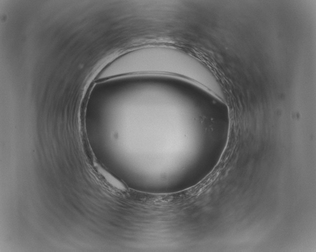 X0000072950148200607210941