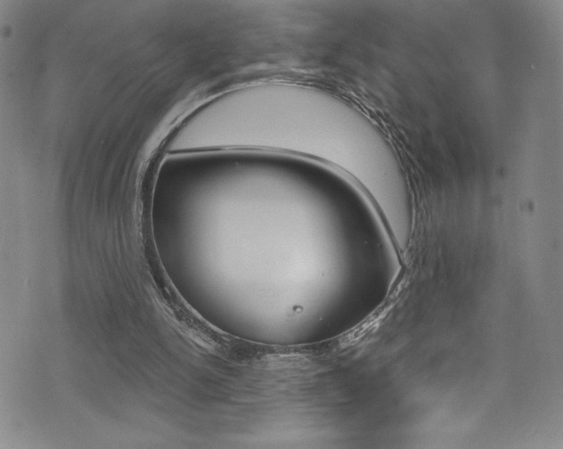 X0000072950150200607210941