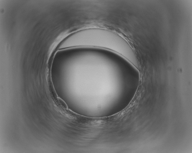 X0000072950152200607210941