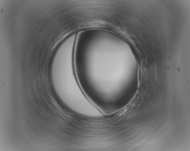 X0000072950154200607210941
