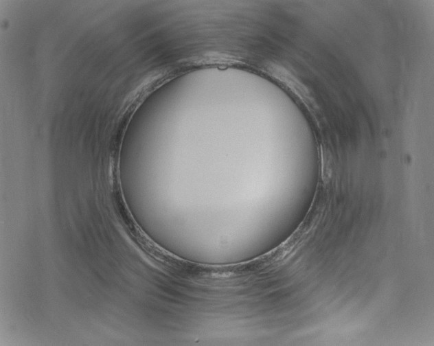 X0000072950157200607210941