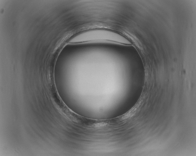 X0000072950158200607210941