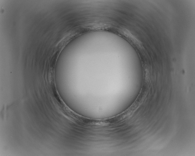 X0000072950165200607210941
