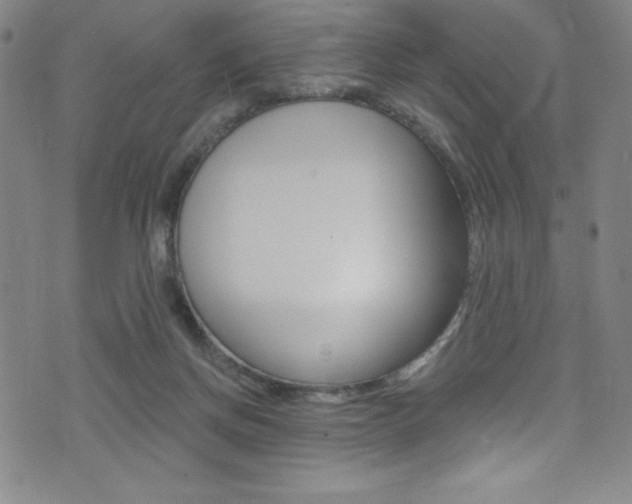 X0000072950166200607210941