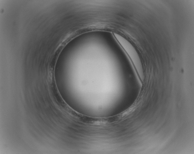 X0000072950168200607210941