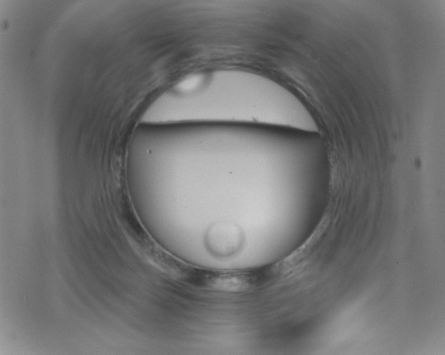X0000072950171200607210941