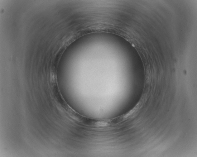 X0000072950176200607210941