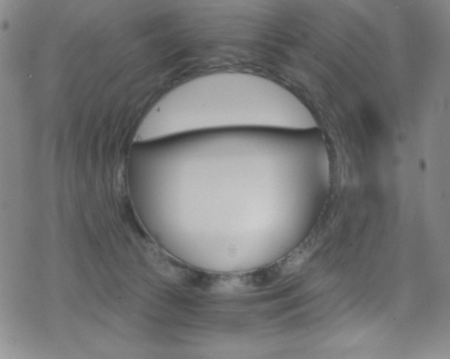 X0000072950177200607210941