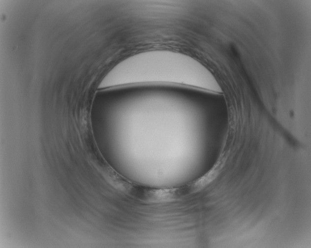 X0000072950184200607210941
