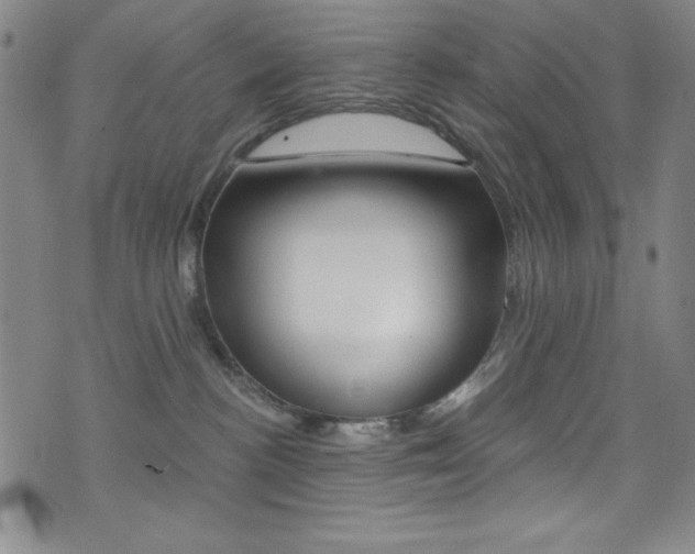 X0000072950188200607210941