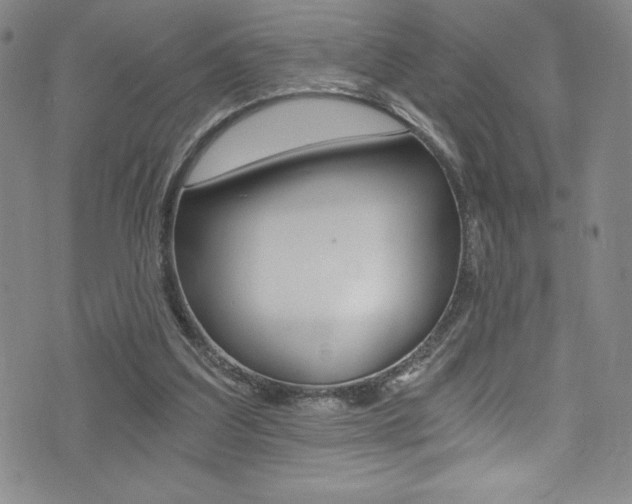 X0000072950203200607210940