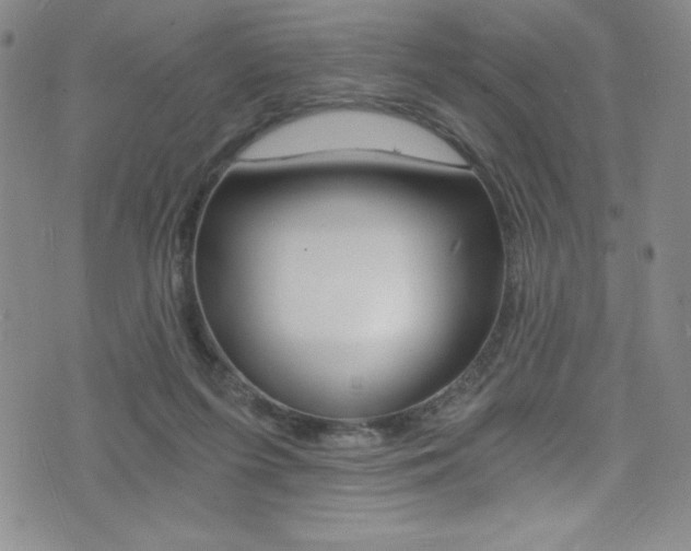 X0000072950215200607210940