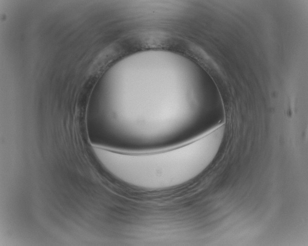 X0000072950217200607210940