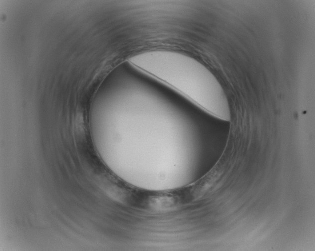 X0000072950220200607210940